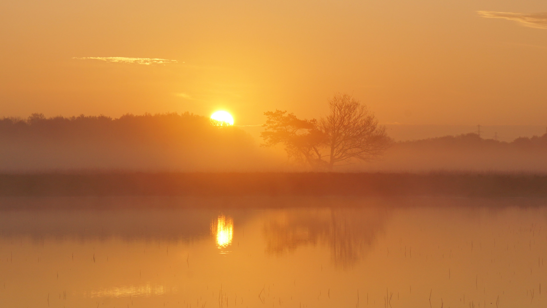 Koude lente staat warm vervolg in de zomer niet in de weg - Weer.nl