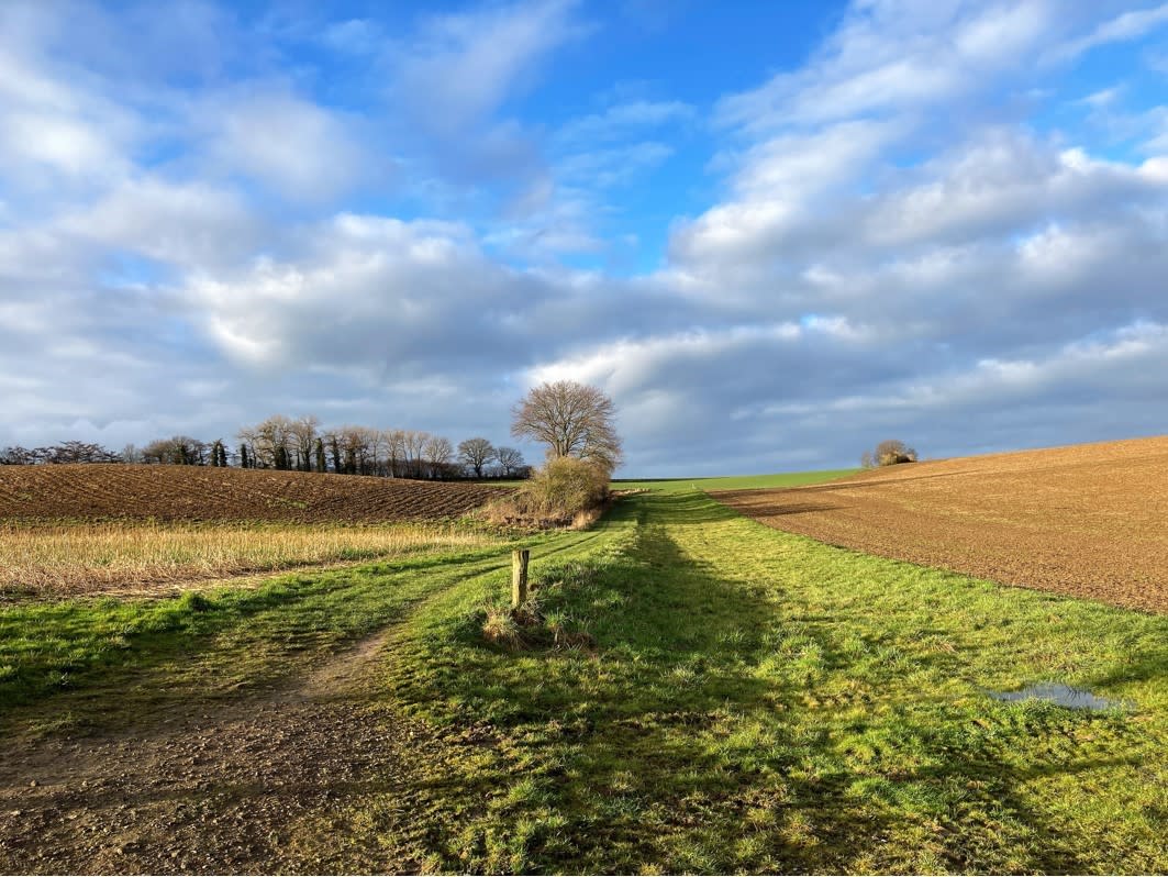 Foto gemaakt door Pantera Huntjens - Simpelveld - Mooi en zacht weer in Simpelveld in Limburg. Foto gemaakt door Pantera Huntjens - Simpelveld - Mooi en zacht weer in Simpelveld in Limburg.