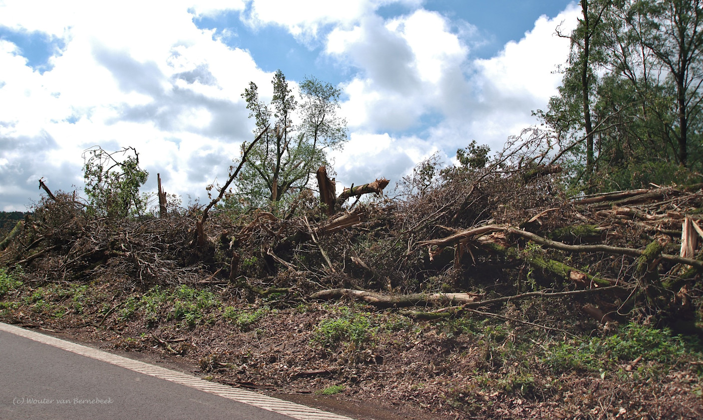 De eerste tornado begon bij de Overasseltse Vennen. Bron: Wouter van Bernebeek. De eerste tornado begon bij de Overasseltse Vennen. Bron: Wouter van Bernebeek.