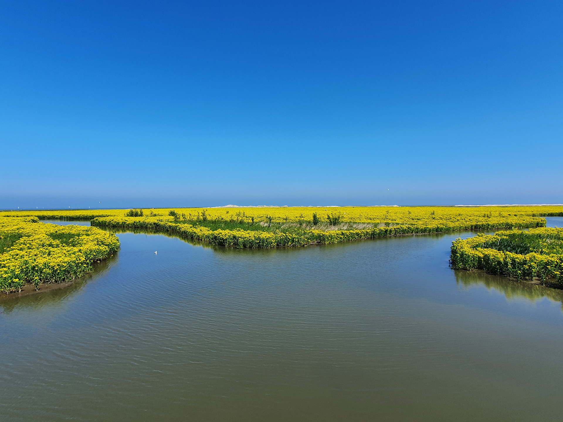 Marker Wadden moeten natuur Markermeer herstellen
