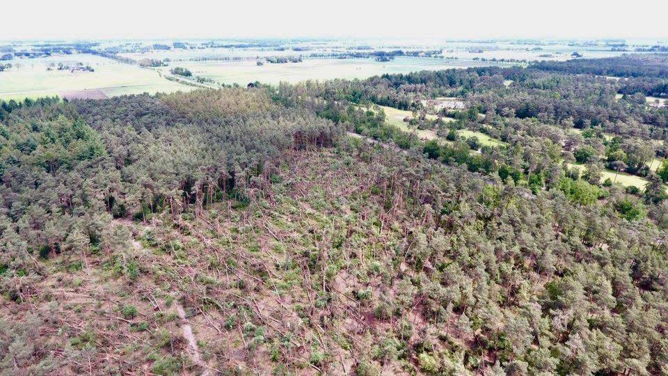 Foto gemaakt door Ageet - Ommen - Geen boom stond meer overeind in het pad van de tornado Foto gemaakt door Ageet - Ommen - Geen boom stond meer overeind in het pad van de tornado
