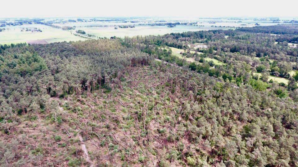 Foto gemaakt door Ageet - Ommen - Geen boom stond meer overeind in het pad van de tornado