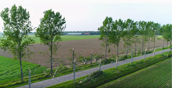 Iets verderop veroorzaakte een andere tornado een schadespoor van circa 40 km. Deze bomen in Kraggenburg knapten als luciferhoutjes af, even later kwam een camping in Vollenhove aan de beurt. Bron: jdverolme (Youtube). Iets verderop veroorzaakte een andere tornado een schadespoor van circa 40 km. Deze bomen in Kraggenburg knapten als luciferhoutjes af, even later kwam een camping in Vollenhove aan de beurt. Bron: jdverolme (Youtube).