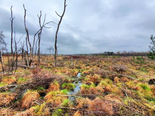 Het Vragenderveen is blij met de regen van de laatste maanden