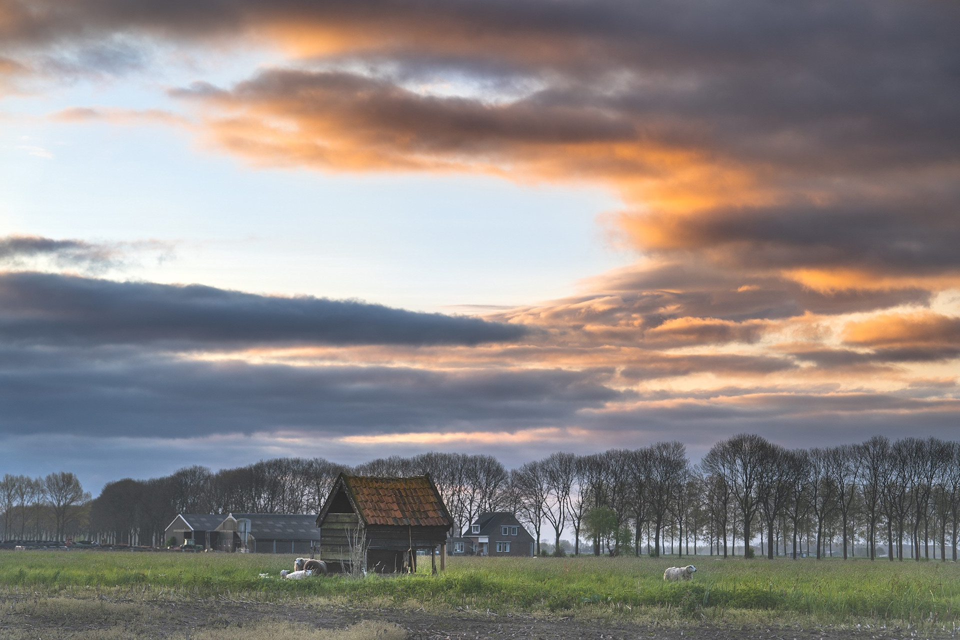 Even wat kouder, maar vanaf morgen (woensdag) fraai lenteweer