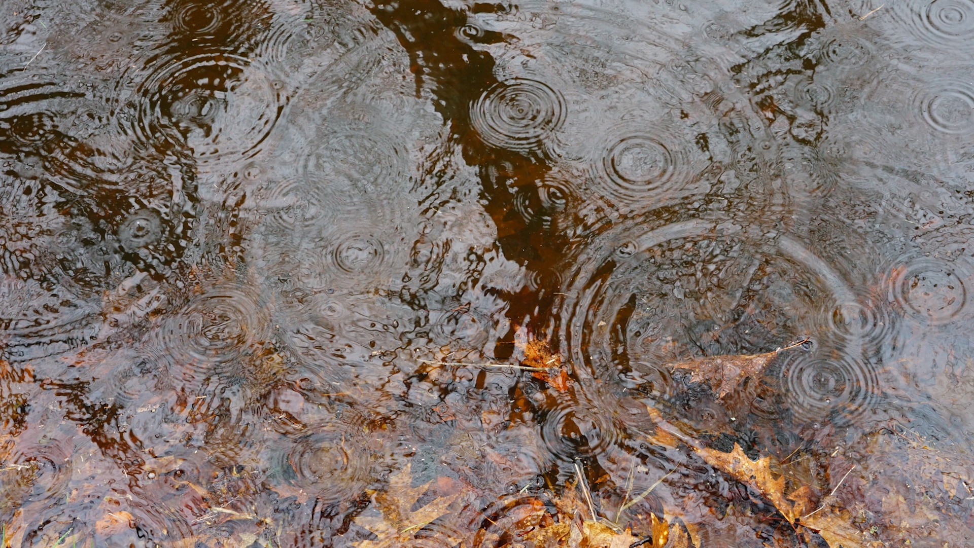 Koude lucht verovert Nederland vanavond Weer.nl