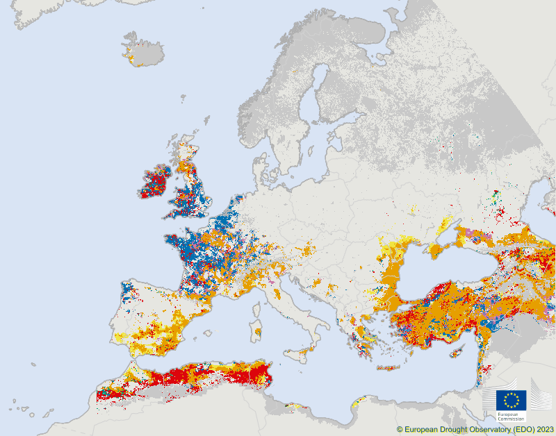 Foto gemaakt door European Drought Observatory (Copernicus) - Europa - De huidige stand van zake met betrekking tot de droogte in Europa.