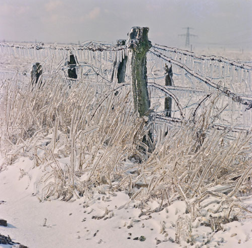 Foto gemaakt door Karin Broekhuijsen - De Kiel - De ijzel van begin maart 1987 in Noordoost-Nederland.