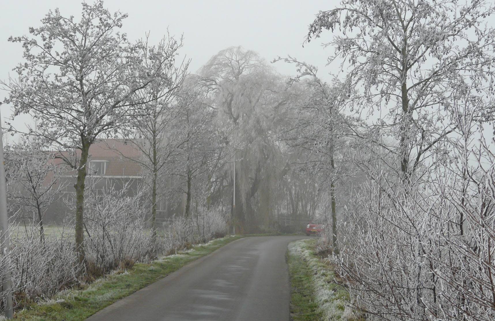 De kans op een koude winter lijkt verkeken Weer.nl De kans op een koude winter lijkt verkeken Weer.nl