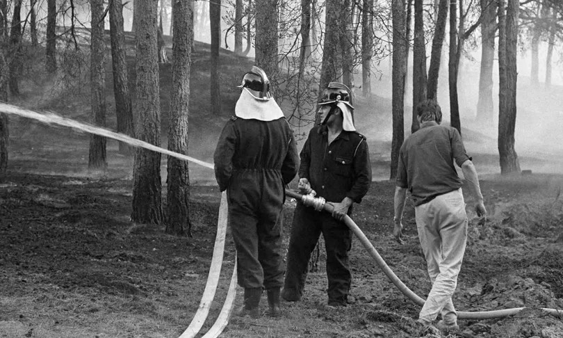 Van de Veluwe tot Oostrum: dit zijn de grootste bosbranden die Nederland ooit troffen