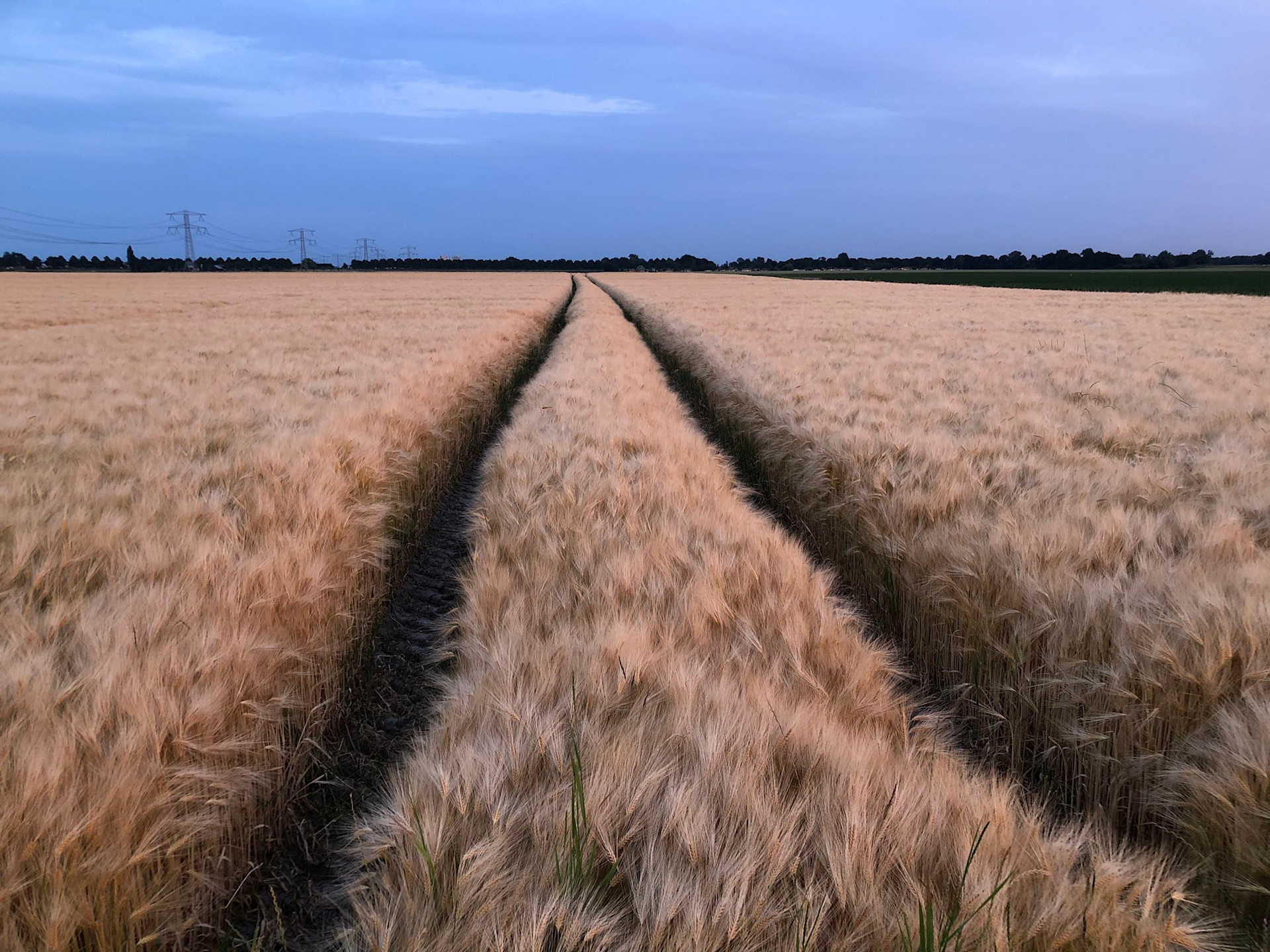 Drukkend warm en vanaf halverwege de middag zware onweersbuien - Weer.nl
