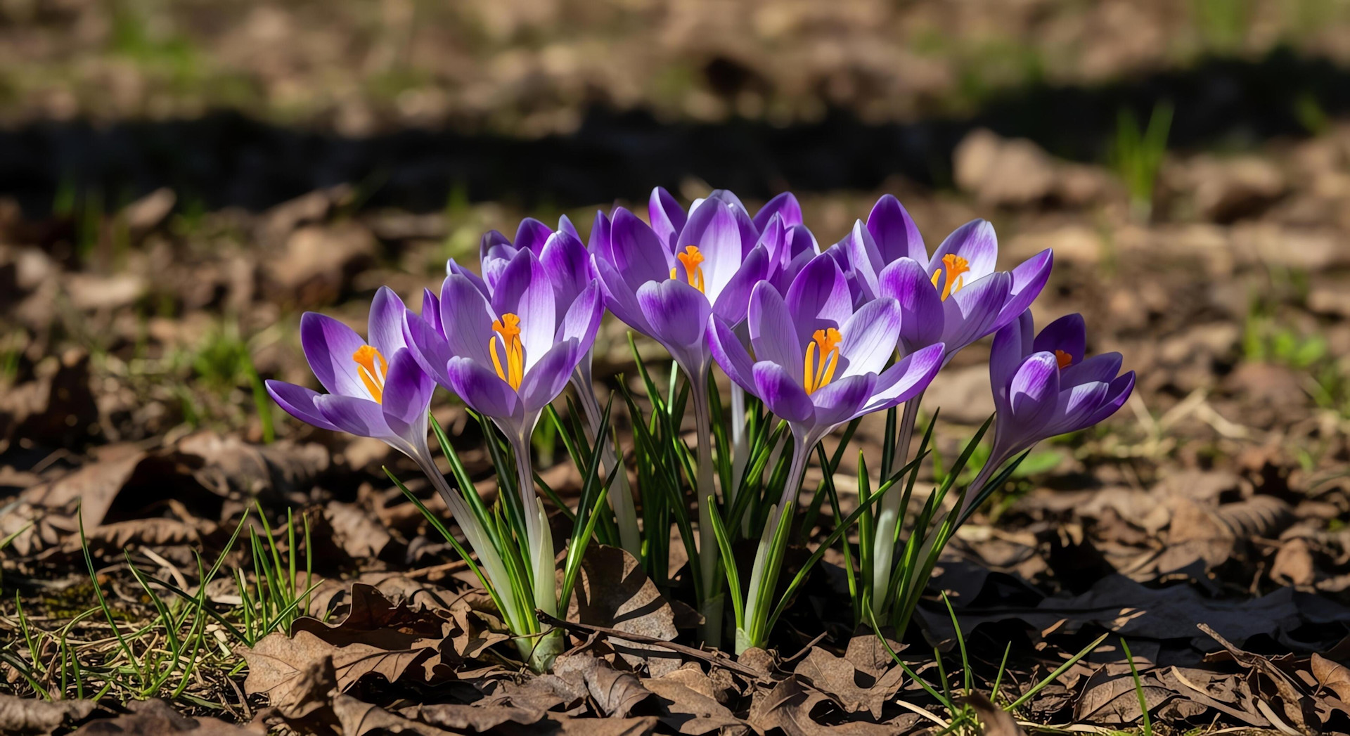 Eerste lentedag levert dagrecords op