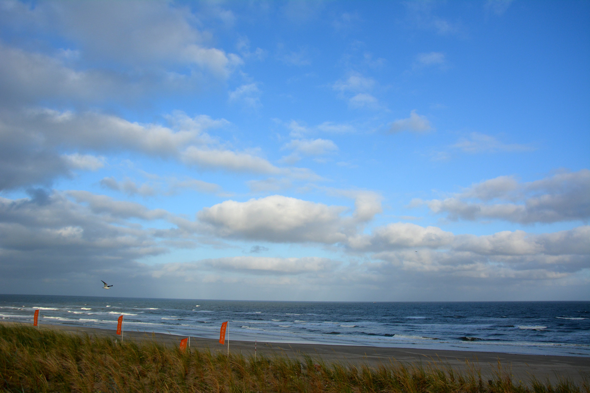 30-Daagse verwachting: Wordt het nu eindelijk echt zomer? - Weer.nl