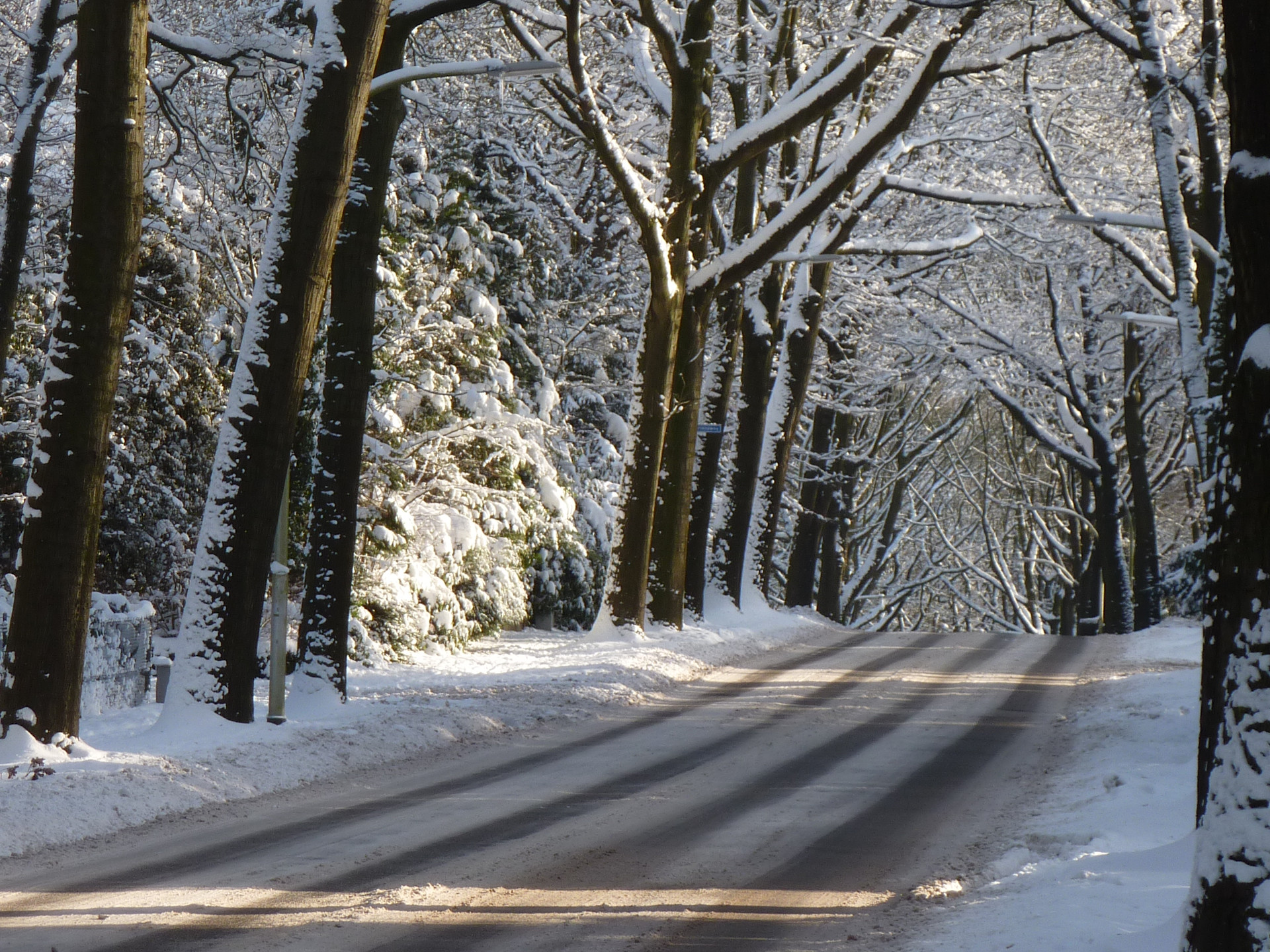 Witte Kerst 2010: de laatste tot nu toe en een van de mooiste - Weer.nl