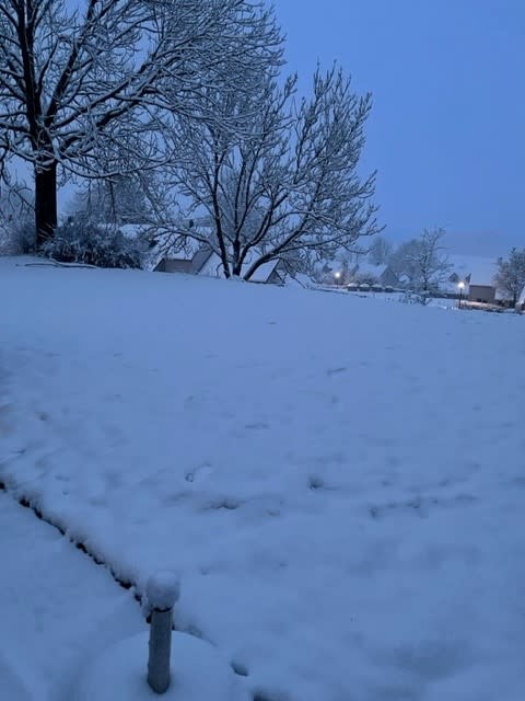 Foto gemaakt door Martin - Vaals - In de omgeving van Vaals lag vanochtend al flink wat sneeuw.