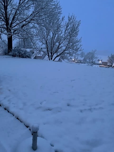 Foto gemaakt door Martin - Vaals - In de omgeving van Vaals lag vanochtend al flink wat sneeuw. Foto gemaakt door Martin - Vaals - In de omgeving van Vaals lag vanochtend al flink wat sneeuw.