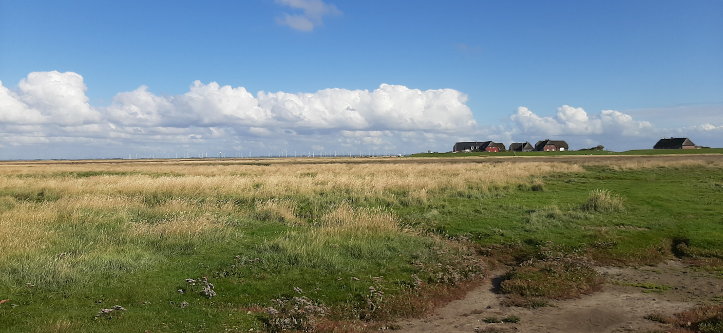 Foto gemaakt door Grieta Spannenburg - Gröde - Het kleine dorpje op Gröde ligt op een terp, midden op het eiland. Het groene deel er omheen loopt meerdere keren per jaar onder. Het eiland heeft een oppervlakte van 2,5 vierkante kilometer.