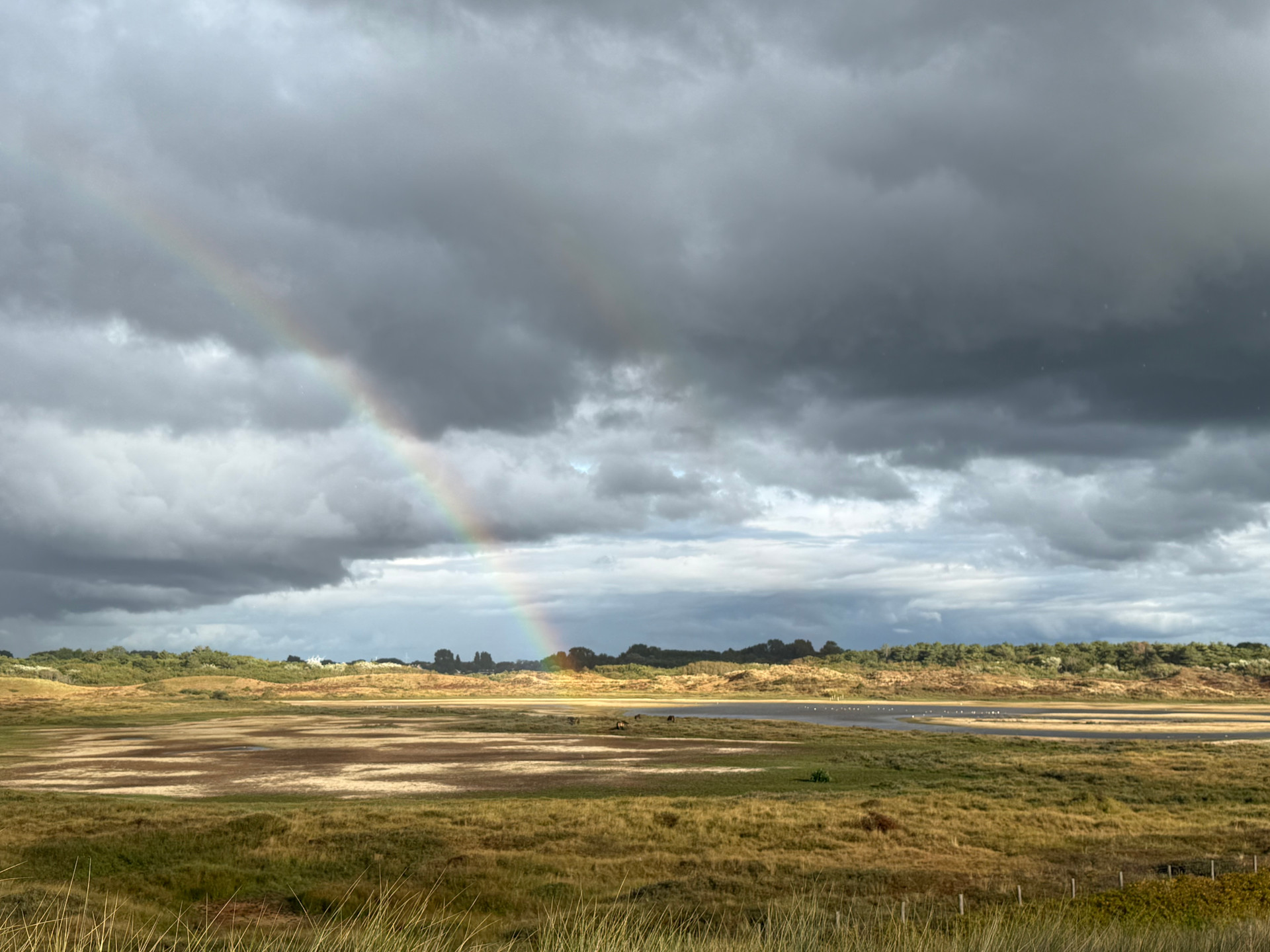 Vooruitblik op Zandvoort: racedag de droogste dag