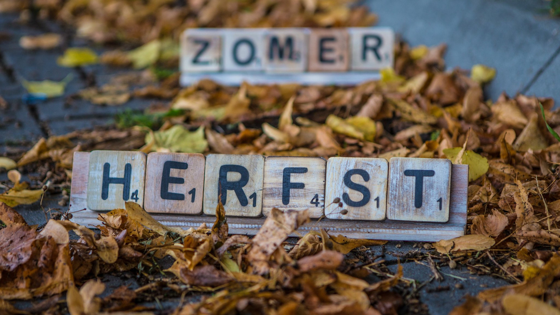 Meteorologische herfst start, weer verandert vooralsnog nauwelijks
