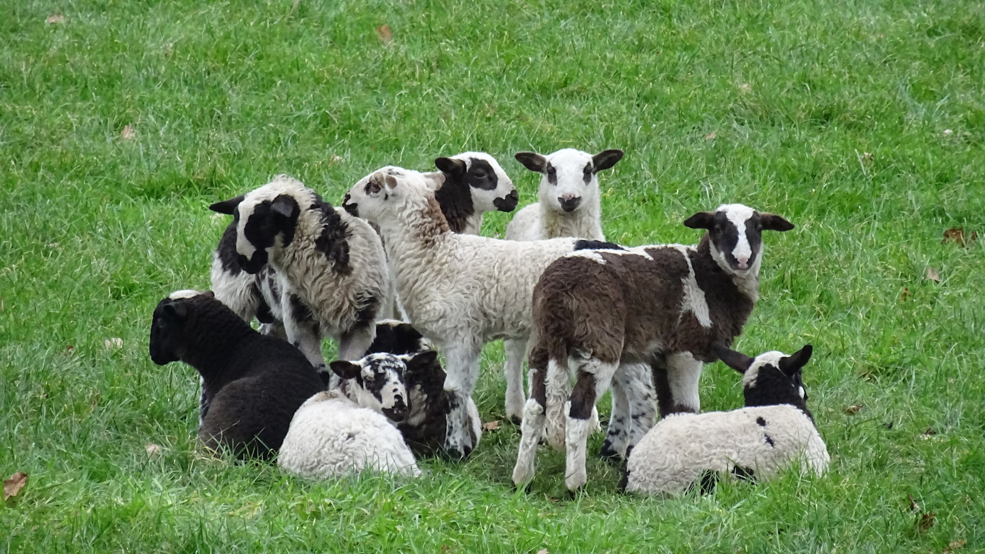 Geleidelijk wat meer beweging in het weer