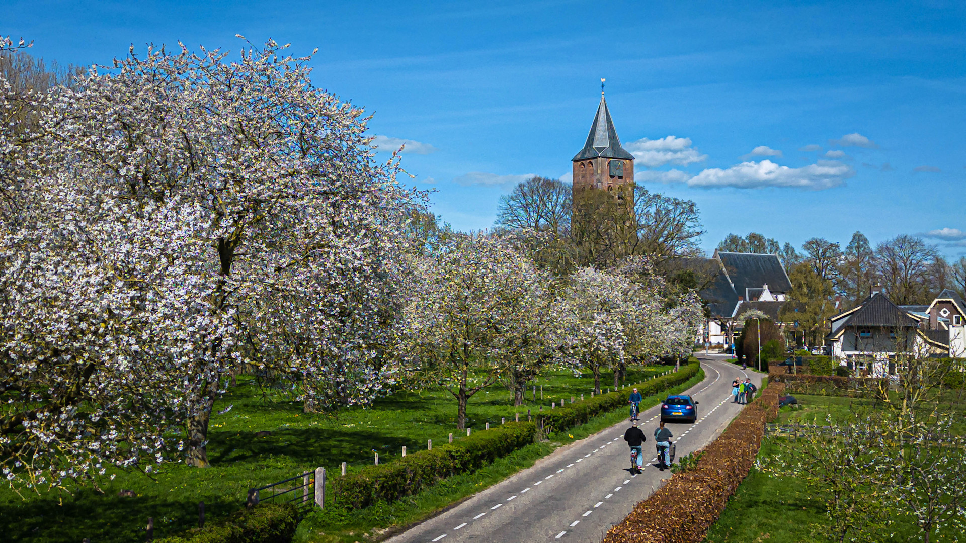 Eerste warme dag van 2026 is een feit: 20 graden in De Bilt