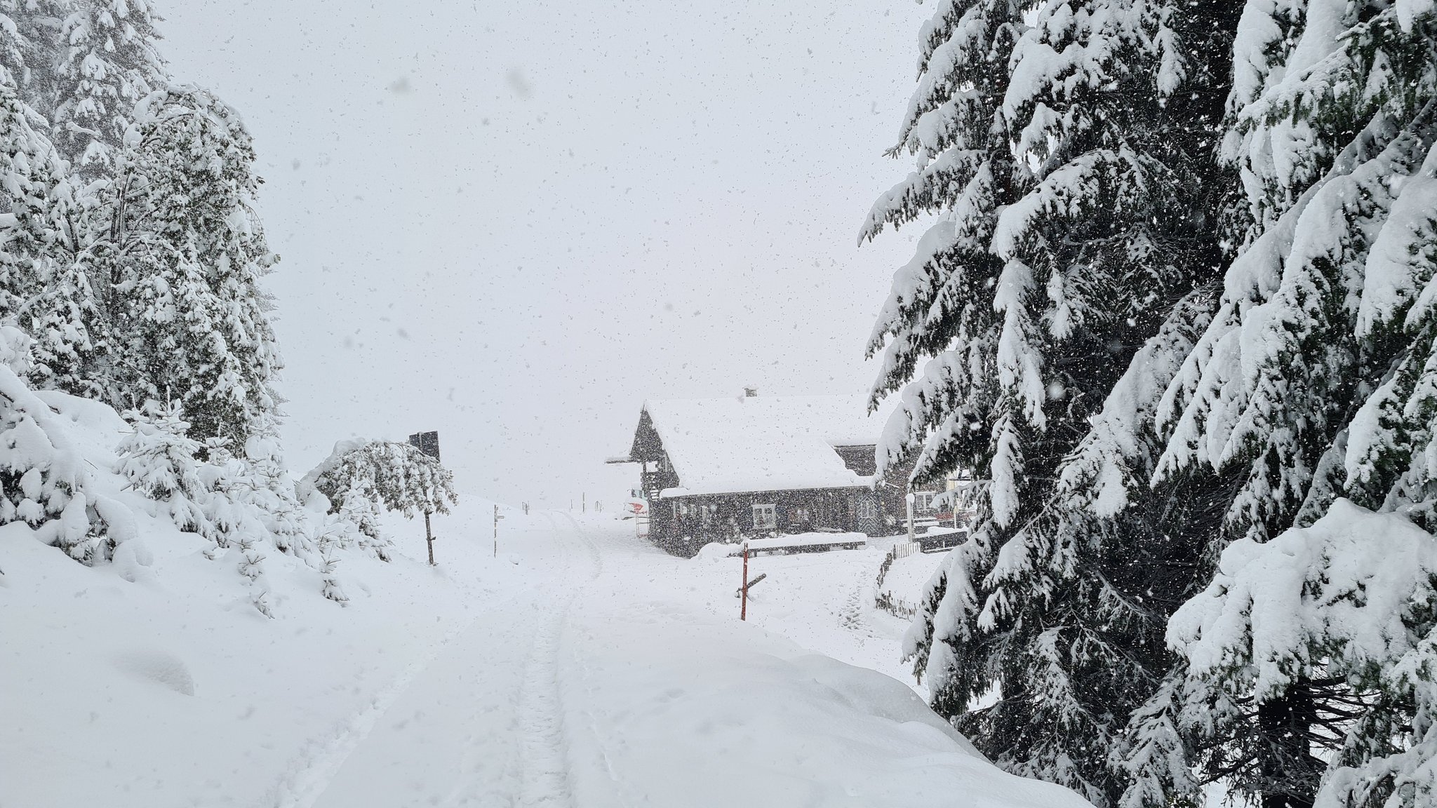 Dik Pak Sneeuw In Alpen Levert Prachtige Plaatjes Op Weer Nl