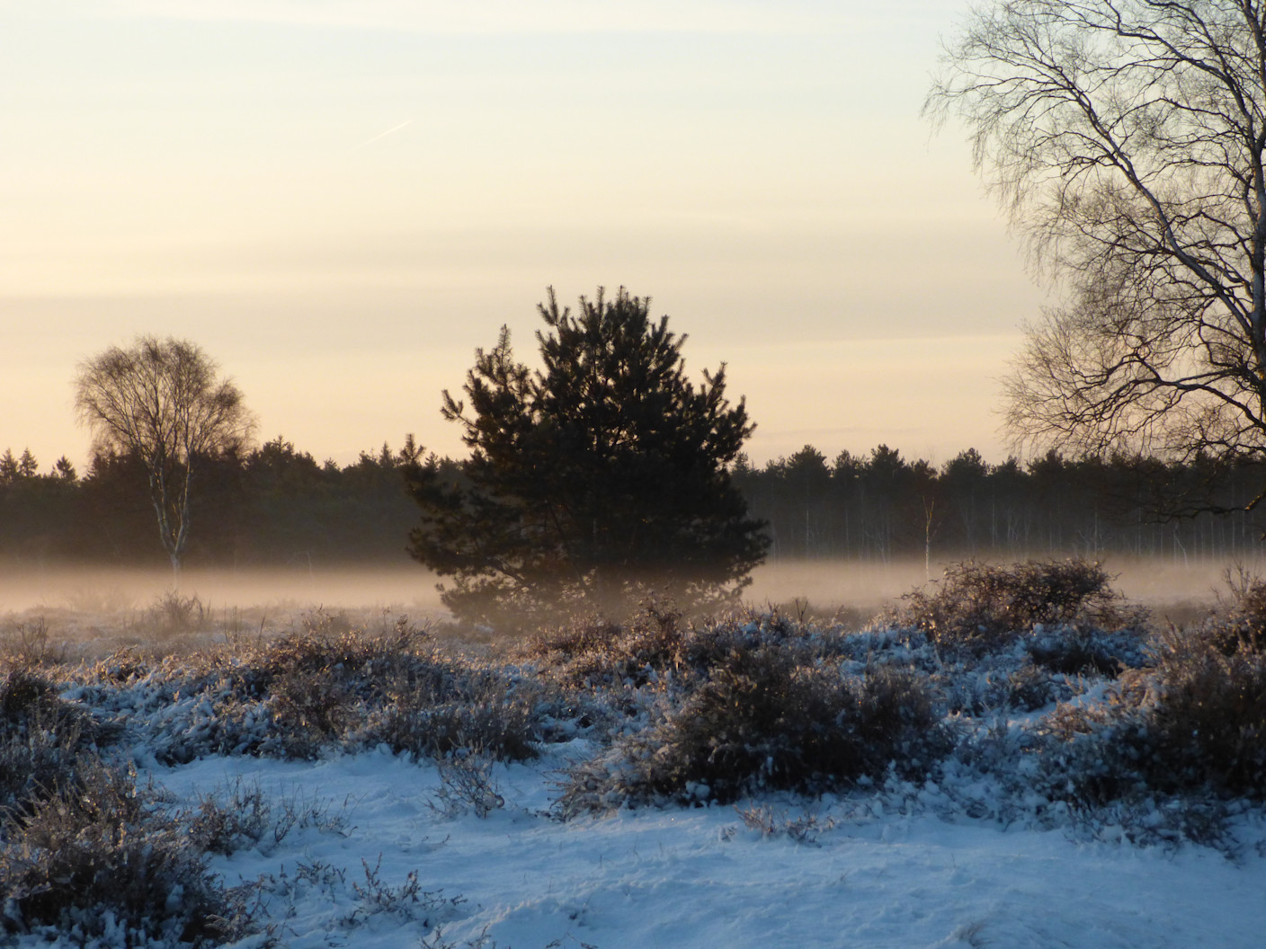 Foto gemaakt door Chris Meewis - Hilversum