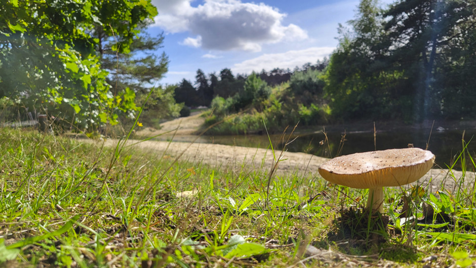 September was zonnig, droog en zeer warm