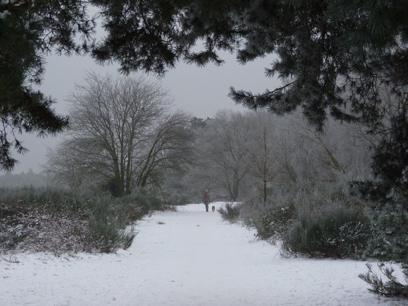 Foto gemaakt door Chris Meewis - Vaalserberg - De Vaalserberg zag er vanochtend weer winters uit. Eergisteren werd het er nog 17 graden, nu lag er 5 centimeter sneeuw.