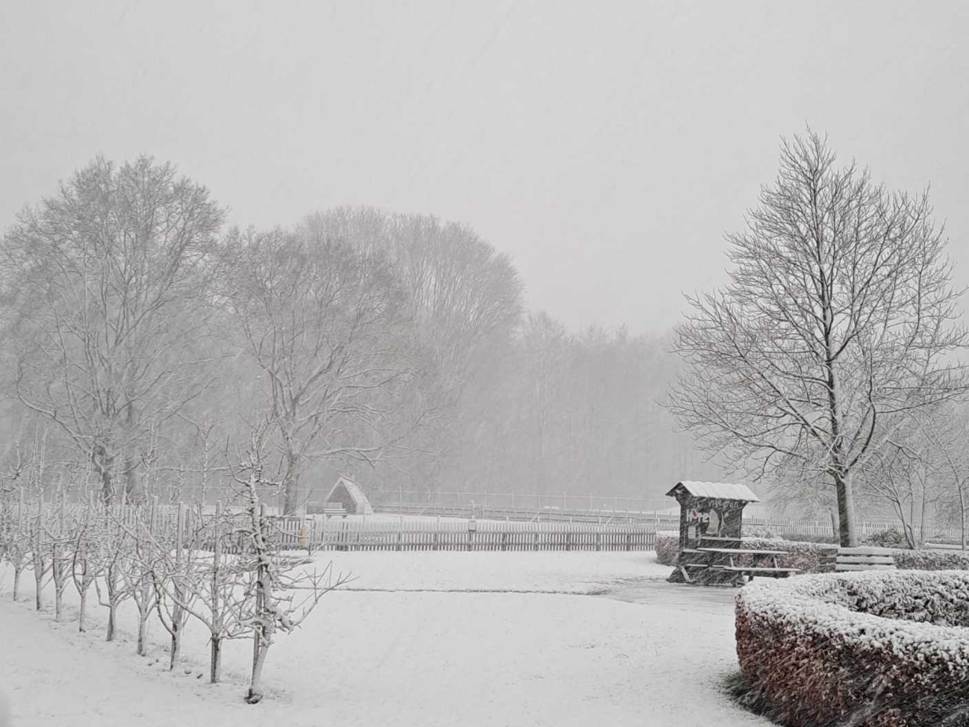 Foto gemaakt door Robert de Vries - Emmeloord - Ook bij Emmeloord. Het sneeuwt nog behoorlijk. 