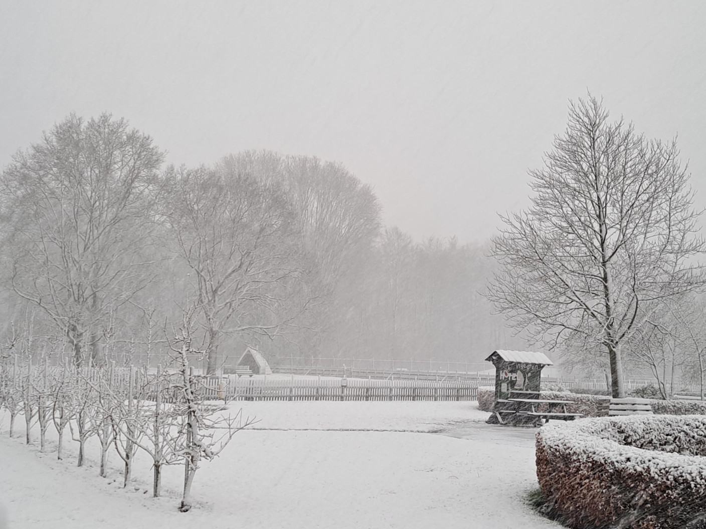 Foto gemaakt door Robert de Vries - Emmeloord - Ook bij Emmeloord. Het sneeuwt nog behoorlijk. Foto gemaakt door Robert de Vries - Emmeloord - Ook bij Emmeloord. Het sneeuwt nog behoorlijk.