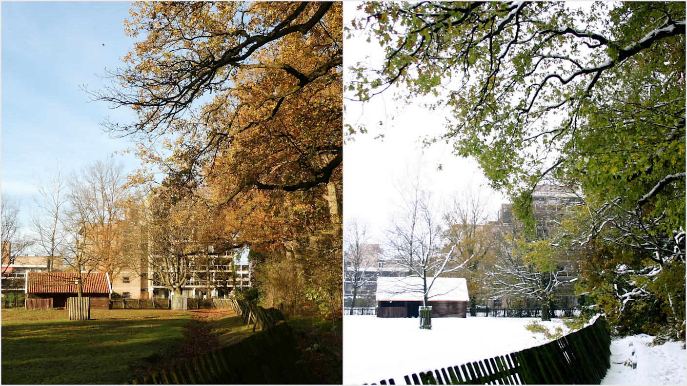 Foto gemaakt door Willy Bonnink - Winterswijk - Zoek de verschillen! De herfst van 2005 verliep een halve graad warmer dan de huidige en dat is goed te zien aan de groene bladeren. In Winterswijk viel 30 cm en na Kerst lagen nog overal hopen sneeuw. Foto gemaakt door Willy Bonnink - Winterswijk - Zoek de verschillen! De herfst van 2005 verliep een halve graad warmer dan de huidige en dat is goed te zien aan de groene bladeren. In Winterswijk viel 30 cm en na Kerst lagen nog overal hopen sneeuw.