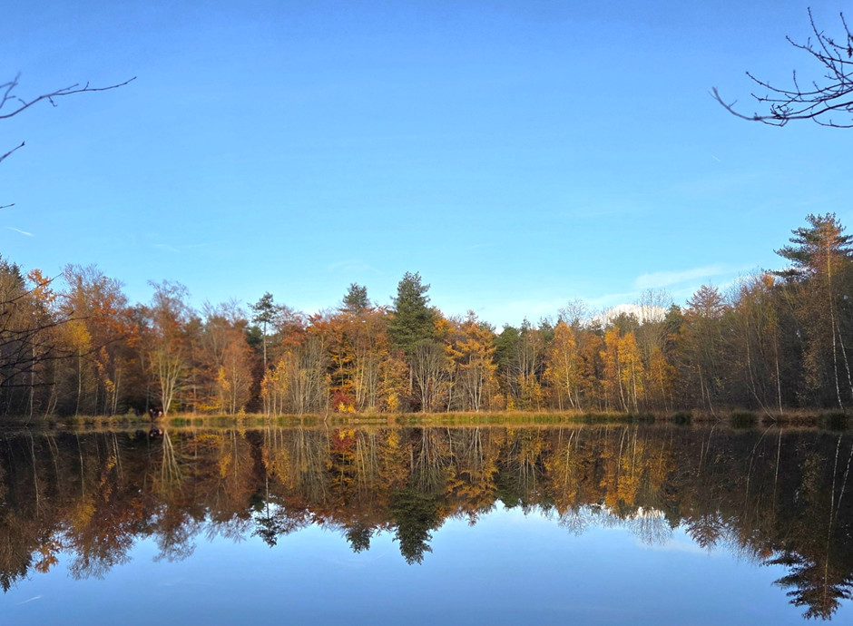 Recordperiode milde dagen doorbroken